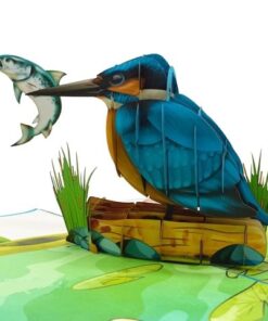 Thiệp Chim Rái Cá A25