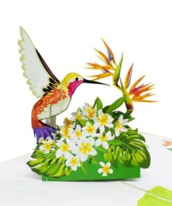 Thiệp Chim Ruồi A04