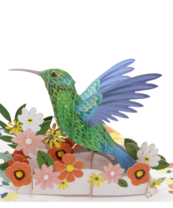 Thiệp Chim Ruồi Xanh A11