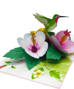 Thiệp Hoa Bông Bụt và Chim Ruồi Xanh Lá F38