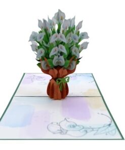 Thiệp Hoa Rum Trắng F29